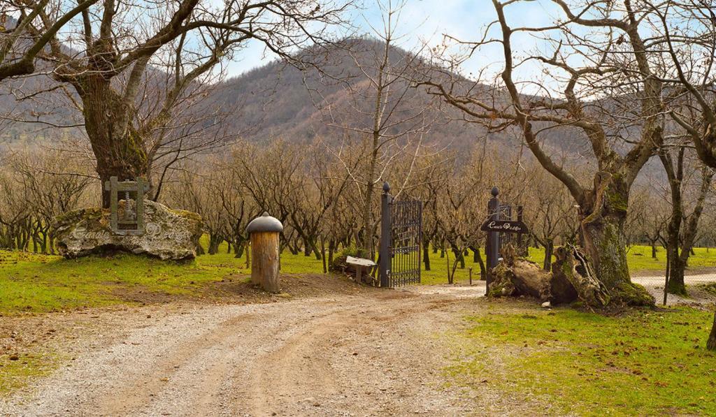 Agriturismo Casale Pie D'Eco Βίλα Calvanico Εξωτερικό φωτογραφία